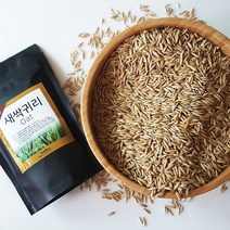 세경팜 새싹귀리씨앗300g