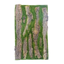 팔루다리움 테라리움 재료 키트 파충류 코르크 껍질 서식지 장식, [01] 30X50CM