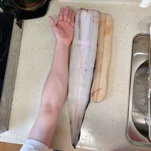 [당일손질] 대물 풍천 민물 장어 자포니카 선물세트 800g 900g 1kg, 900g 손질후 550g 전후50g, 1개