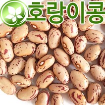 천지가약초 (대용량무료배송) 호랑이콩 5kg 호랑이강낭콩 매화콩, 1개