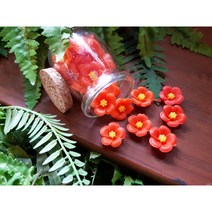 [수하련_제주비누] 제주 유리병 동백 비누, 비누거품망, 리필50g