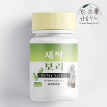제주 새싹보리 정, 60정, 1개