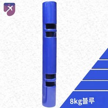 장비 웨이트 도구 기구 펑셔널 바이퍼 크로스핏, 블루 고무 8kg