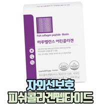 자외선손상 피부보호 피쉬콜라겐펩타이드 비오틴