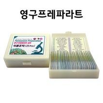 영구 프레파라트 식물조직(25pcs)