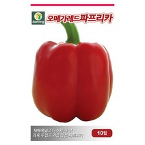새로운 쥬키니 호박 씨앗 30립 - 쥬키니호박 호박씨앗 애호박 야채씨앗 채소씨앗 채소재배 종묘 종자 베란다 텃밭 씨 씨앗 오이 호박 방, 22_다농_오메가 레드파프리카(10립)