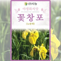 꽃창포 노란색 씨앗 꽃창포 씨 야생화 꽃 종자 1g