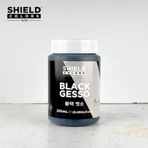쉴드 젯소 블랙 250ml, 단품
