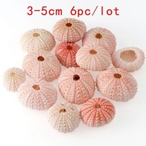 조가비 비즈 천연 조개 소라 공예 수족관 관상어 인테리어 어항 껍질 핑크 컬러 자연 창, 6개