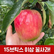 굿띵파머스 경북 부사 흠과 꿀사과 햇사과 가정용 3kg 6kg 10kg, 부사정품3kg(소과)14-17과