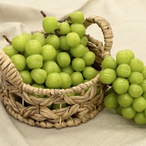 순수농장 고당도 샤인머스켓 추석 명절 과일 선물 세트, 프리미엄 고당도 2kg