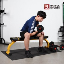 반석스포츠 스케일 그랜드 평벤치