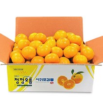 태평청과 제주 서귀포 감귤 노지 타이벡 밀감 5kg 소과 로얄과 중과, 제주 서귀포 감귤 5kg 중과(L~2L)