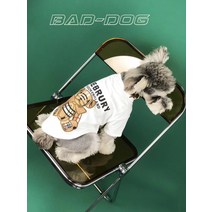 Ogfaour 3D 입체 강아지 옷 여름 얇은 소형견 중형 곰돌이 강남스타일 산책 수영장 계곡 제주도 나들이 푸들 불독 시바 비숑 말티즈 슈나우져 불독 퍼그, 흰색