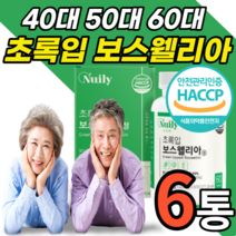 식약처 인증 인정 보스웰리아 40대 50대 60대 중년 여성 남성 여자 남자 무릅 손가락 허리 턱 고관절 무릎 관절 연골 보스 월아 헬리아 웰실리아 보스 렐리아 넬리아 보수엘리야, 6개월 분, 1000mgX60정