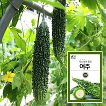 마이플랜트 여주 씨앗 채소재배 베란다 텃밭, 단품