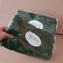 GREEN MOSS 청이끼(소), 1개