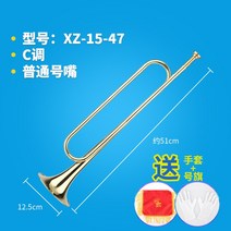 트럼펫 군악대용 기초 트레이닝 초보용 음대진학, 옵션2