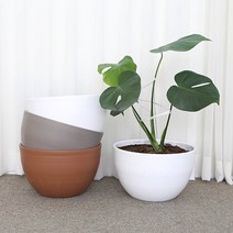 화담 대형식물화분 원형 플리츠화분 토분느낌화분, 1호 화이트