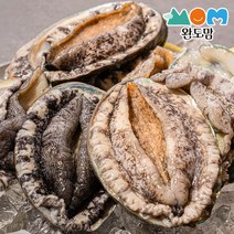 완도맘 완도 활 전복 특특대사이즈 8-9미 1kg 대전복 횟감용, 1개
