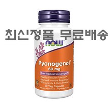 고약사 피크노제놀 나우푸드 프랑스 해안송 추출물 60mg 50정 식물성 플라보노이드 Pycnogenol