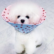 독캣맘 푸들넥카라 강아지 넥카라 고양이넥카라 미니애플 순면 가볍고 탄탄한 깔대기 목보호대 넥쿠션 초경량, ~20cm, 블루미니애플