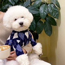 명품 체크 강아지 스웨터 애견옷 니트 데일리 가을 겨울 반려견 말티즈 치와와 귀여운 수면 새끼강아지 말티푸옷 실내복 외출복 애견용품, 체크블루