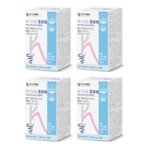 메가세움 포르테 4개월분 치아 형성에 필요한 뼈 칼슘 치 약, 60정, 4개