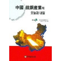 [개똥이네][중고-상] 중국 철강산업의 오늘과 내일