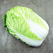 채선 신선하고 속이 꽉찬 배추 1포기, 1팩