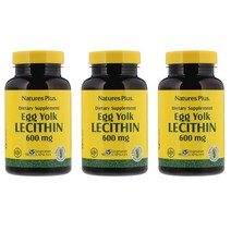 Natures Plus 네이쳐플러스 난유 캡슐 Egg Yolk Lecithin 90정 3개