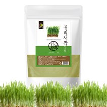 국내산 슈퍼푸드 새싹 귀리 분말 500g 잡곡 오트밀 차 즙 환 정