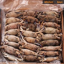 튀니지 알베기 암꽃게 100/150 3kg 블루크랩 키친보이즈, 1개