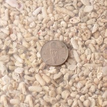 산호사 10~15mm - (산호 해수어바닥재), 단품