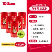 wilson 테니스공 윌슨 챔피언쉽 Wilson테니스공 엑스트라 테니스볼 시합용 WILSON 듀티 그린볼, 11