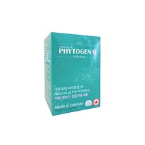 파이토젠 Q 회화나무열매 추출물 대두 이소플라본 리그난 여성갱년기 건강기능식품, 30캡슐 2개