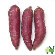사라상회 고구마 10Kg (상/특/긴상/긴특)