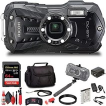 리코 카메라 Ricoh 방수 디지털 64GB Extreme Pro SD 카드, 1.블랙 - 리테일
