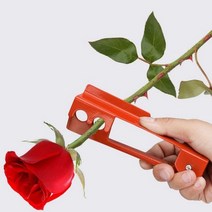 트레이 인테리어소품샵 아가방꾸미기 전시다이, 1개
