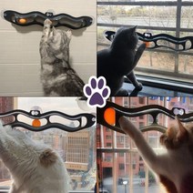 골든트리 유리 흡착식 고양이 탁구공 레일 장난감 트랙볼 공놀이 타일