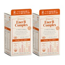 고농축비타민B 에너B 콤플렉스 90정 비타민B100 컴플렉스, 90정 x 2통
