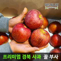 이츠올릿 경북 안동 부사 꿀 사과 5kg 정품 중과 16-18과 청송 문경 장수 밀양 얼음골 못난이, 1개