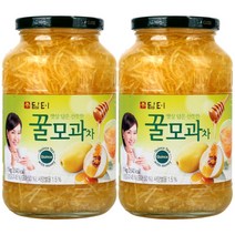 담터 꿀유자차 1kg x2병 10종 선택세트, 꿀모과차 1kg, 꿀모과차 1kg