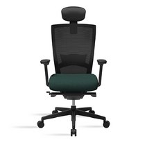 시디즈 T50 시리즈 NEW T500HLDA 메쉬의자(TNA500HLDA), 딥그린