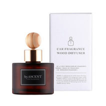 에이센트 차량용 네이처 디퓨저 120ml, 런더리 앤 다우니, 2개