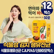 CJ 바이오 식물성 유산균 패밀리 분말 가루 스틱 식물유래 CJLP 243 김치 생유산균 프로바이오틱스 10억보장 신바이오틱스 포뮬러 식약처 인증 건강기능식품, 12박스, 30포