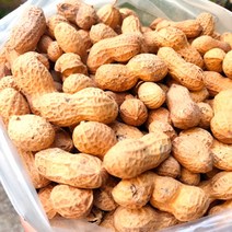 2023년 껍질땅콩 국산땅콩 생땅콩 1kg 2kg, 1개