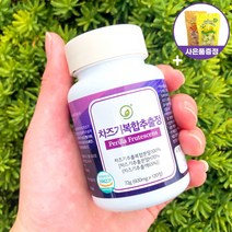 휴나인 눈 차즈기 복합 추출물 국산 차조기 120정, 1개, 72g