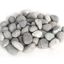 순둥이네화분 에그스톤 2~2.5cm 2.8~3kg