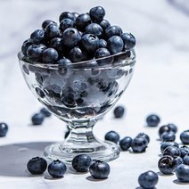 고당도 달콤한 생블루베리 500G 18MM 국내산 슈퍼푸드 먹는법 부르 그릭요거트 의령 묘목재배 효능